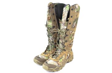 irish setter 2875